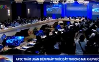 APEC thảo luận biện pháp thúc đẩy thương mại khu vực