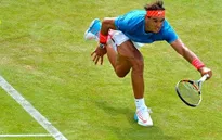 Nadal bị bật bãi khỏi Queen's Club