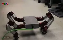 Sử dụng robot rắn trong cứu hộ khẩn cấp