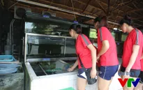 VTV Cup 2015: Nữ tuyển thủ Việt Nam tinh nghịch vớt cá chạch