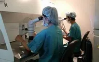 Phụ nữ độc thân có quyền sinh con bằng phương pháp thụ tinh trong ống nghiệm
