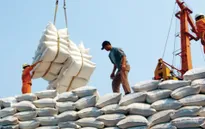 Việt Nam xuất khẩu hơn 2 triệu tấn gạo