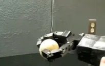 Robot giá rẻ của nhà phát minh trẻ người Mỹ