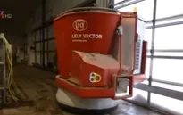 Robot vắt sữa bò làm việc trong trang trại