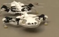 Pleurobot - Robot mô phỏng loài kỳ nhông