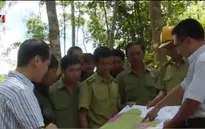 Đăk Lăk kiến nghị xóa nợ thuê đất cho các công ty lâm nghiệp