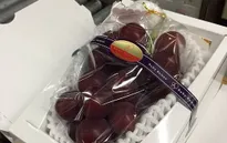 Chùm nho Ruby Roman 26 quả có giá 177 triệu đồng
