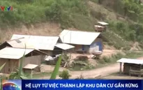Hệ lụy từ việc thành lập khu dân cư gần rừng