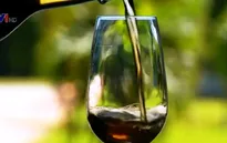 Rượu rum Cuba sẵn sàng trở lại thị trường Mỹ