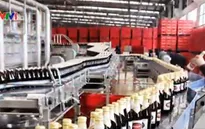 Truy thu thuế của Sabeco: Vẫn còn nhiều băn khoăn