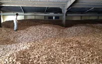Dừng áp thuế xuất khẩu 5% đối với sắn lát
