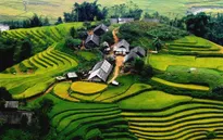 Làm thế nào để giữ gìn thương hiệu du lịch Sa Pa?