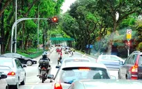 Khám phá hệ thống cây xanh đô thị tại Singapore