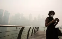 Singapore đóng cửa trường học do khói mù