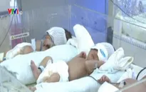 Trung Quốc: Nhiều cặp vợ chồng không muốn sinh con năm Ất Mùi