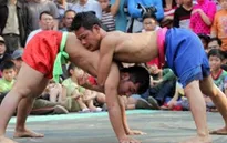 Sới vật làng Tam Trinh: Lưu giữ các giá trị tinh thần đặc sắc