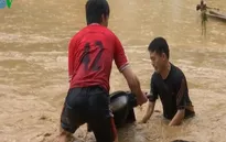 Hình ảnh kinh hoàng do ảnh hưởng của bão số 1