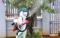 El Nino liên quan đến bùng phát dịch sốt xuất huyết tại Đông Nam Á