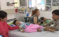 TP.HCM: Gia tăng số ca sốt xuất huyết, tay chân miệng