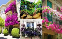 Những ý tưởng vườn hoa ban công tuyệt đẹp