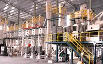 Ninh Bình: Khánh thành nhà máy chế biến lúa gạo xuất khẩu