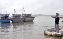 Phú Yên: 600 tàu thuyền mắc kẹt do cửa biển bồi lấp