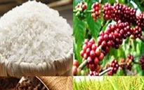 WB hỗ trợ Việt Nam tái cơ cấu nông nghiệp