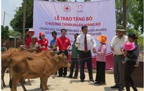Prudential Việt Nam tặng 150 con bò cho các hộ gia đình khó khăn