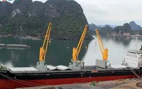 Quảng Ninh đóng mới tàu 56.200 tấn và bàn giao tàu 12.500 tấn