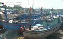 Bình Định phát triển mạnh đội tàu đánh bắt xa bờ
