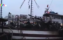 Tạm dừng hoạt động đội tàu du lịch Hạ Long Biển Ngọc