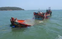 Chìm tàu câu mực: Toàn bộ lao động đang được đưa về Nha Trang