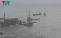 Tàu cá chìm trên biển, 8 ngư dân được cứu sống