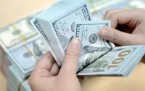 Sức ép tỷ giá có thể mạnh hơn trong năm 2016