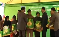 Hỗ trợ gạo cho hộ nghèo Thanh Hóa đón Tết
