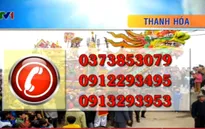 Thanh Hóa: Nghiêm cấm cán bộ đi lễ hội trong giờ làm việc