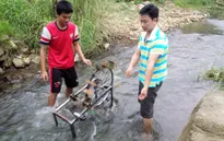 Ứng dụng đầy sáng tạo của những nhà khoa học tuổi teen