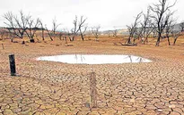 Hiện tượng El Nino sẽ tăng mạnh vào cuối năm nay