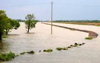 Cảnh báo lũ trên các sông từ Nghệ An đến Quảng Ngãi và Bắc Tây Nguyên