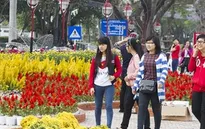 Thời tiết thuận lợi dịp Tết Ất Mùi