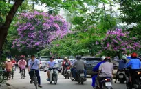 Nắng nóng chấm dứt, mưa rào và dông rải rác khắp các vùng