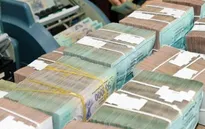 TP.HCM: Thu ngân sách Nhà nước tăng hơn 11%