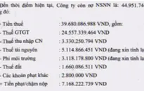 Công ty vàng Bồng Miêu xin miễn thuế chậm nộp do thiên tai