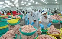 ĐBSCL: Nỗ lực xuất khẩu thủy sản dịp giáp Tết