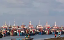 Vướng mắc khi triển khai Nghị định 67 về phát triển thủy sản