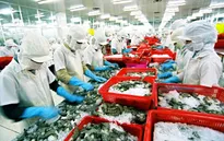Tỷ giá biến động, xuất khẩu thủy sản gặp khó