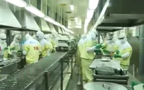 Bài toán chuyển đổi công nghệ chế biến thủy sản