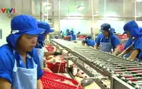 Việt Nam vào Top 5 nhà sản xuất, xuất khẩu thủy sản hàng đầu thế giới