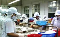 Phí "bôi trơn" để XK thủy sản vào Nga: Cơ quan chức năng phủ nhận