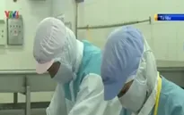 Lô hàng thủy sản đầu tiên xuất sang EU được cấp chứng thư điện tử